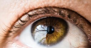 Dry Eye Decoded: Revolutionary Protocols in Diagnosing and Treating Dry Eye