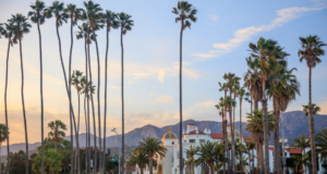 JAN 22 – 24 | The Vision Council 2025 Executive Summit View of Santa Barbara, CA with palm trees and buildings and a mountain backdrop.