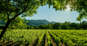MAR 28 – 30 | CRU Eye Symposium Napa, CA