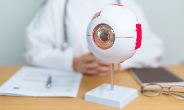 3D model of a human eye on a desk